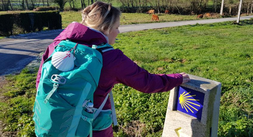 what-s-the-significance-of-the-scallop-shell-on-the-camino