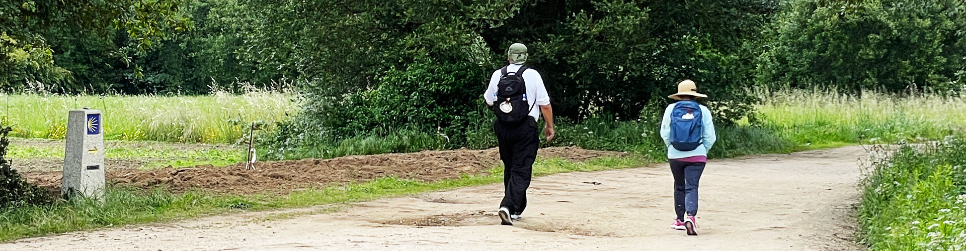 pilgrims advancing along the Portuguese Camino