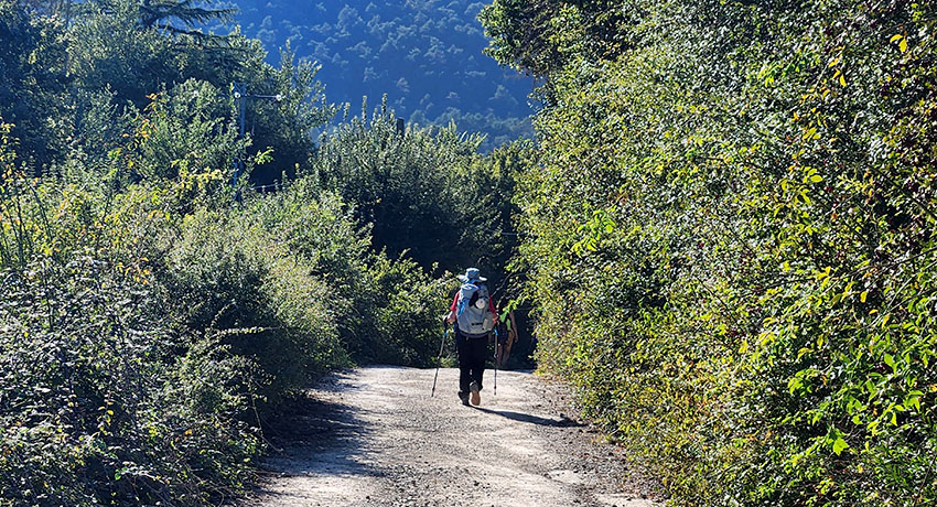 Lone traveler walking a dirt path in northern Spain