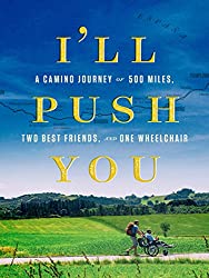 i'll push you movie cover