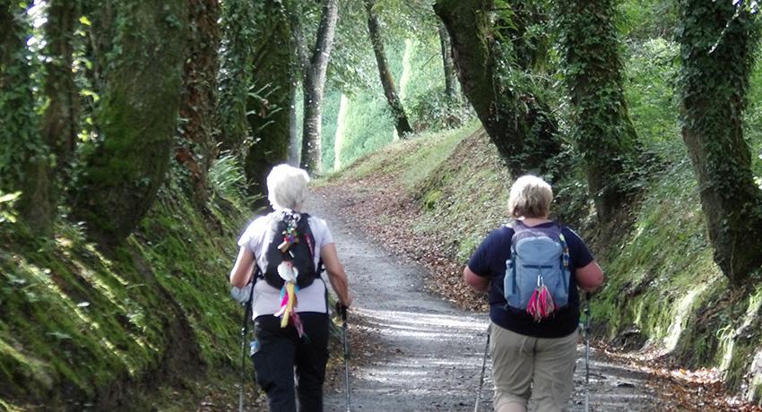 two pilgrim walking on a Camino de Santiago trail surrounded by forests