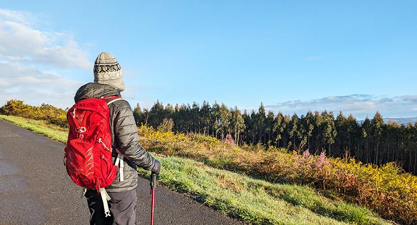 pilgrim admiring the landscape on el Camino de Santiago 