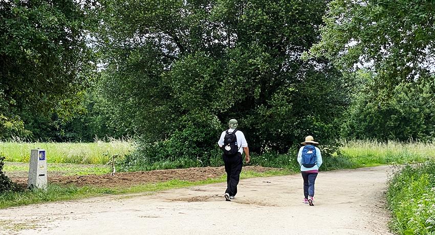 pilgrims on the camino walking by marker