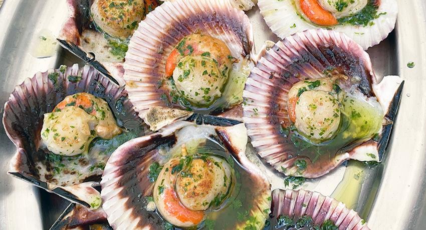scallops on plate
